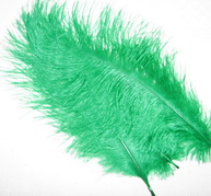 Ostridge  plumes  INTRUDER ������   ������� ����� 